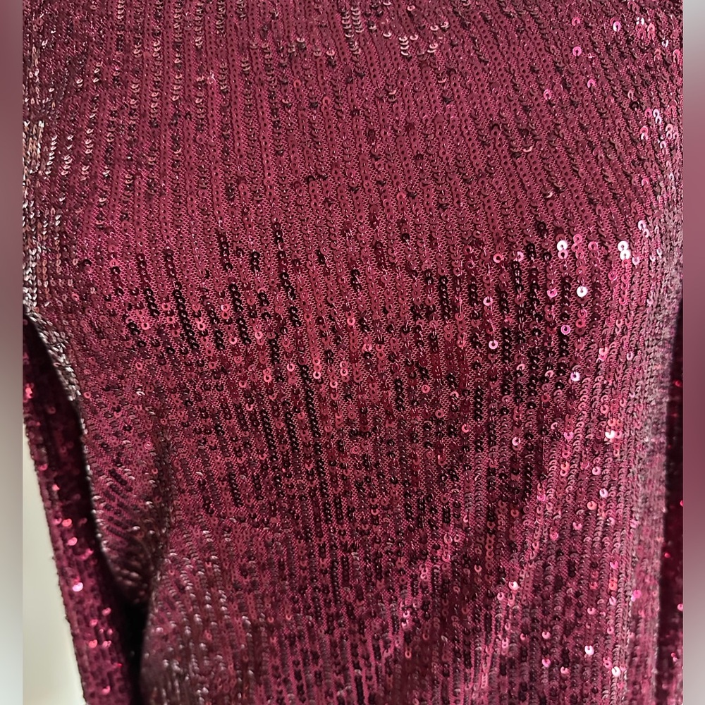 CeCe Burgundy Sequin Top- X-Small - Picture 8 of 11